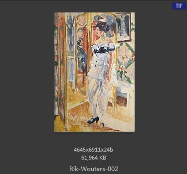 【比利时】里克·沃特斯 （Rik Wouters）