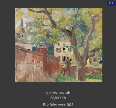 【比利时】里克·沃特斯 （Rik Wouters）