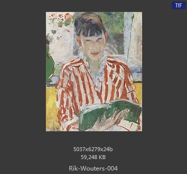 【比利时】里克·沃特斯 （Rik Wouters）