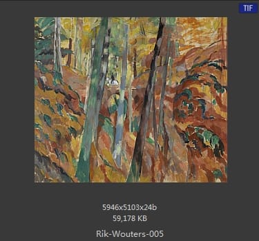 【比利时】里克·沃特斯 （Rik Wouters）
