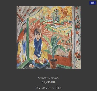 【比利时】里克·沃特斯 （Rik Wouters）
