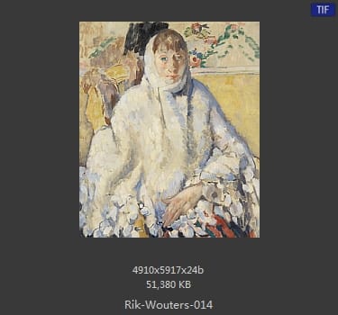 【比利时】里克·沃特斯 （Rik Wouters）