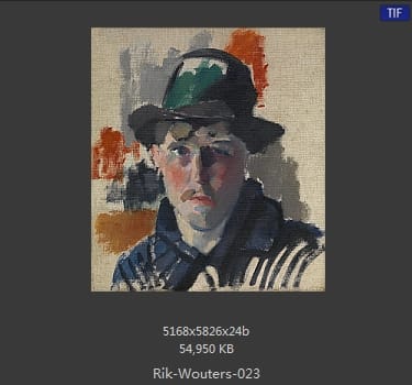 【比利时】里克·沃特斯 （Rik Wouters）