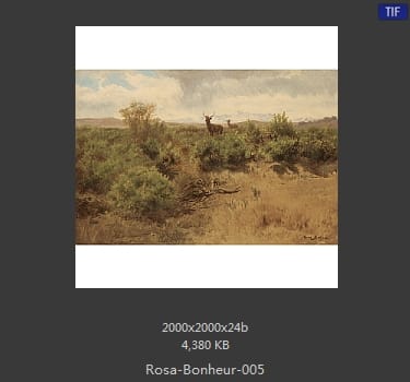【法国】罗莎·博纳尔（Rosa Bonheur）