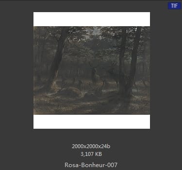 【法国】罗莎·博纳尔（Rosa Bonheur）