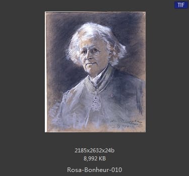 【法国】罗莎·博纳尔（Rosa Bonheur）