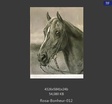 【法国】罗莎·博纳尔（Rosa Bonheur）