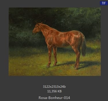 【法国】罗莎·博纳尔（Rosa Bonheur）
