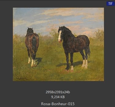 【法国】罗莎·博纳尔（Rosa Bonheur）