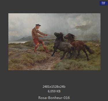 【法国】罗莎·博纳尔（Rosa Bonheur）