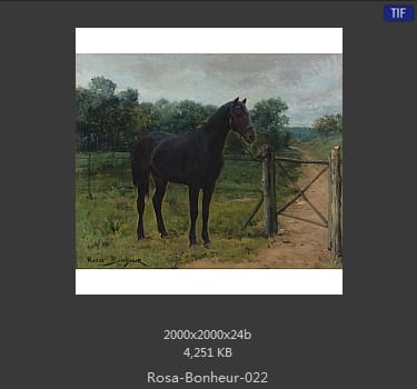 【法国】罗莎·博纳尔（Rosa Bonheur）