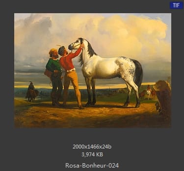 【法国】罗莎·博纳尔（Rosa Bonheur）