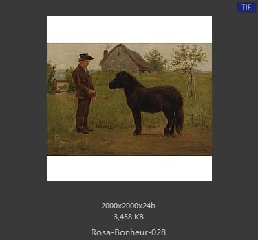 【法国】罗莎·博纳尔（Rosa Bonheur）