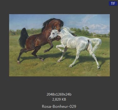 【法国】罗莎·博纳尔（Rosa Bonheur）