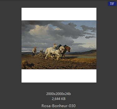 【法国】罗莎·博纳尔（Rosa Bonheur）
