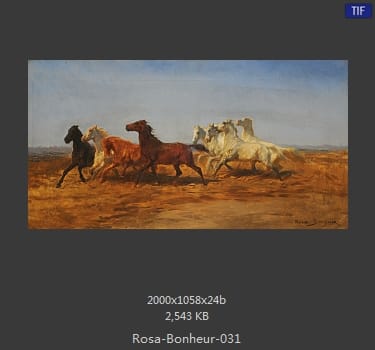 【法国】罗莎·博纳尔（Rosa Bonheur）