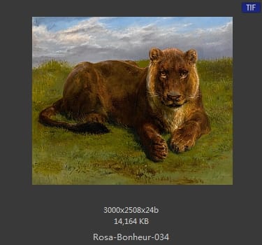 【法国】罗莎·博纳尔（Rosa Bonheur）
