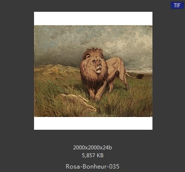 【法国】罗莎·博纳尔（Rosa Bonheur）