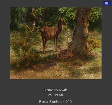 【法国】罗莎·博纳尔（Rosa Bonheur）