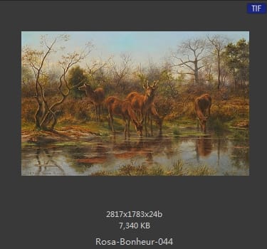 【法国】罗莎·博纳尔（Rosa Bonheur）