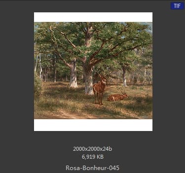 【法国】罗莎·博纳尔（Rosa Bonheur）