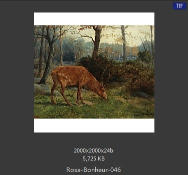 【法国】罗莎·博纳尔（Rosa Bonheur）