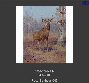【法国】罗莎·博纳尔（Rosa Bonheur）