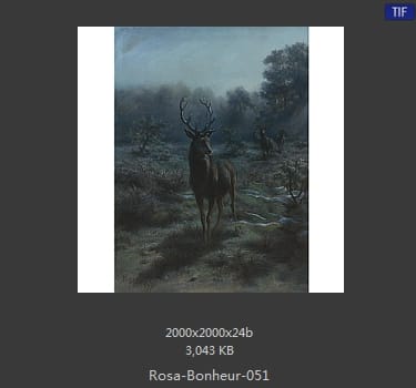 【法国】罗莎·博纳尔（Rosa Bonheur）