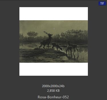 【法国】罗莎·博纳尔（Rosa Bonheur）