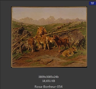 【法国】罗莎·博纳尔（Rosa Bonheur）
