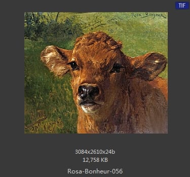 【法国】罗莎·博纳尔（Rosa Bonheur）