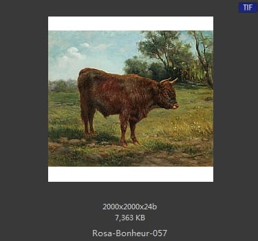 【法国】罗莎·博纳尔（Rosa Bonheur）