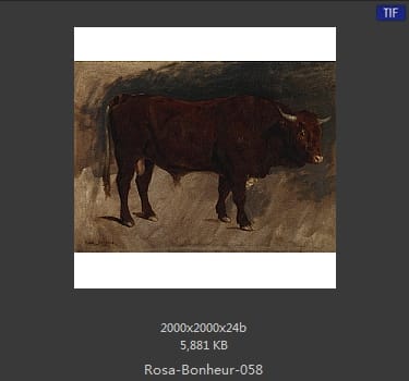 【法国】罗莎·博纳尔（Rosa Bonheur）