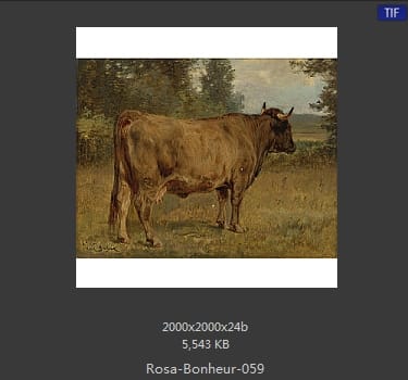 【法国】罗莎·博纳尔（Rosa Bonheur）