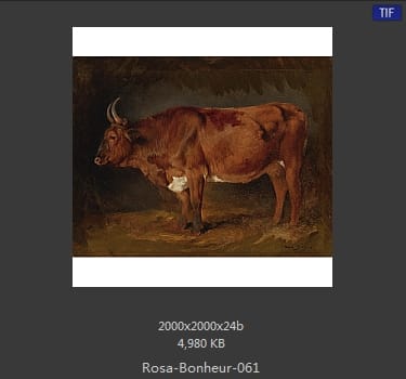 【法国】罗莎·博纳尔（Rosa Bonheur）