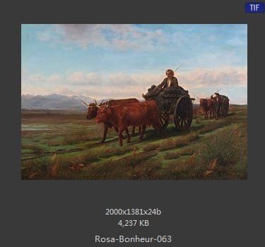 【法国】罗莎·博纳尔（Rosa Bonheur）