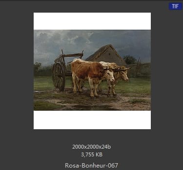 【法国】罗莎·博纳尔（Rosa Bonheur）