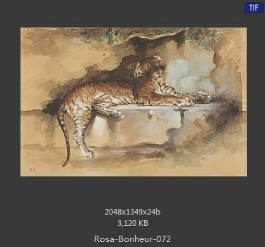 【法国】罗莎·博纳尔（Rosa Bonheur）