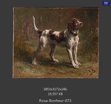 【法国】罗莎·博纳尔（Rosa Bonheur）