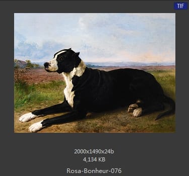 【法国】罗莎·博纳尔（Rosa Bonheur）
