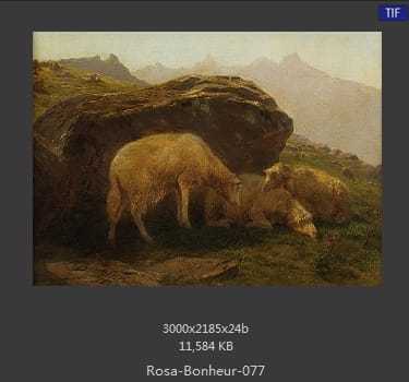 【法国】罗莎·博纳尔（Rosa Bonheur）