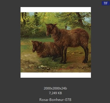 【法国】罗莎·博纳尔（Rosa Bonheur）