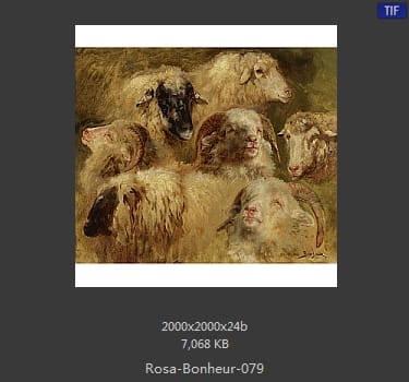 【法国】罗莎·博纳尔（Rosa Bonheur）