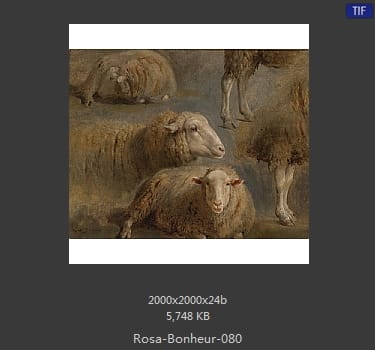 【法国】罗莎·博纳尔（Rosa Bonheur）