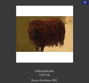 【法国】罗莎·博纳尔（Rosa Bonheur）