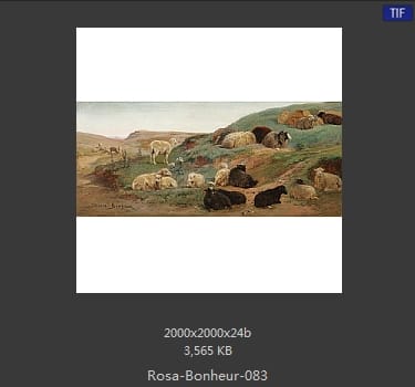 【法国】罗莎·博纳尔（Rosa Bonheur）