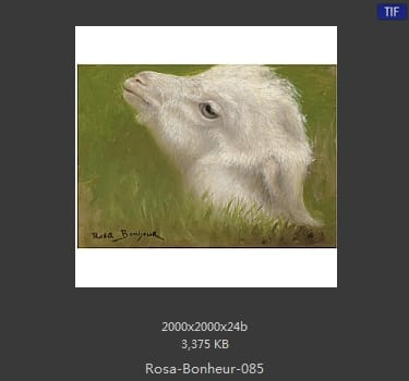 【法国】罗莎·博纳尔（Rosa Bonheur）