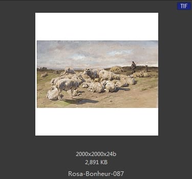 【法国】罗莎·博纳尔（Rosa Bonheur）
