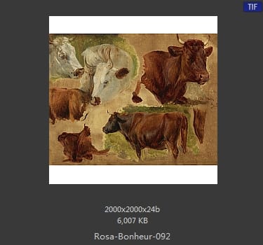 【法国】罗莎·博纳尔（Rosa Bonheur）