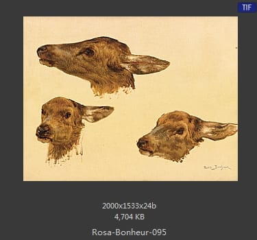 【法国】罗莎·博纳尔（Rosa Bonheur）